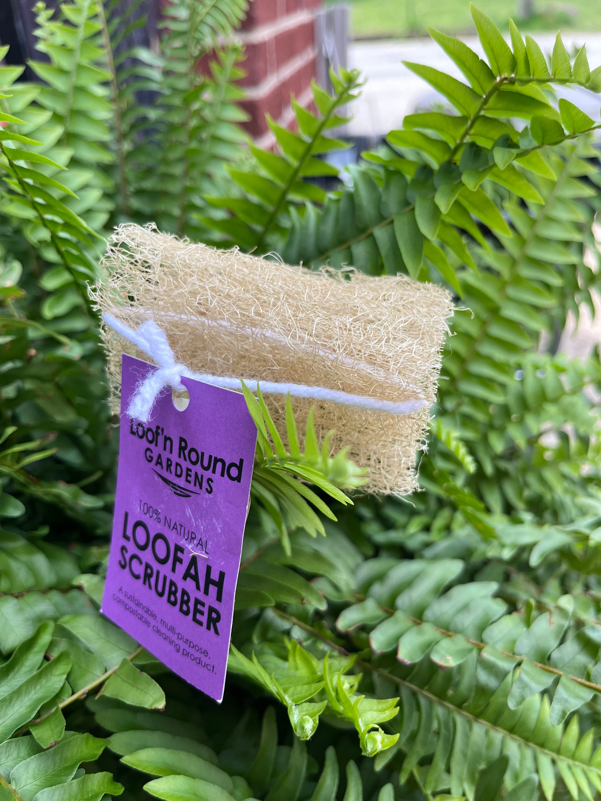 Loofah Face Scrub - Frequency Fillery