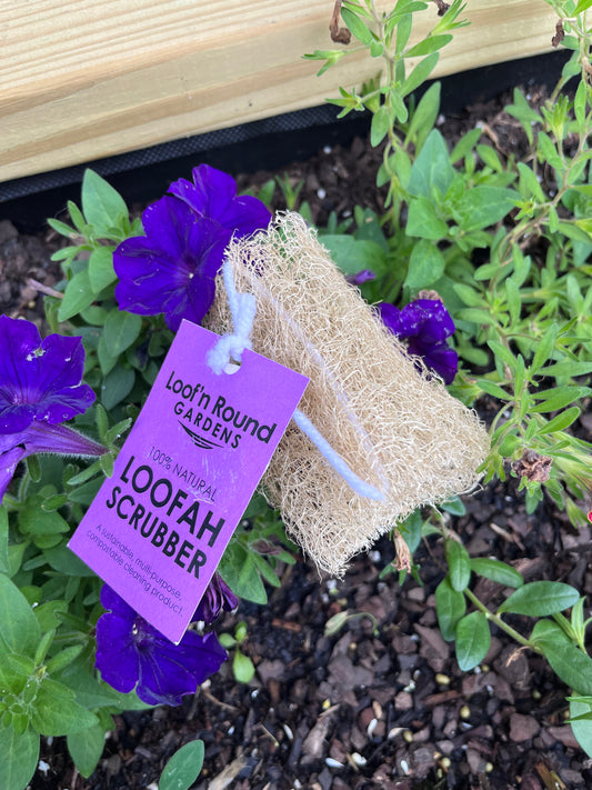 Loofah Face Scrub - Frequency Fillery