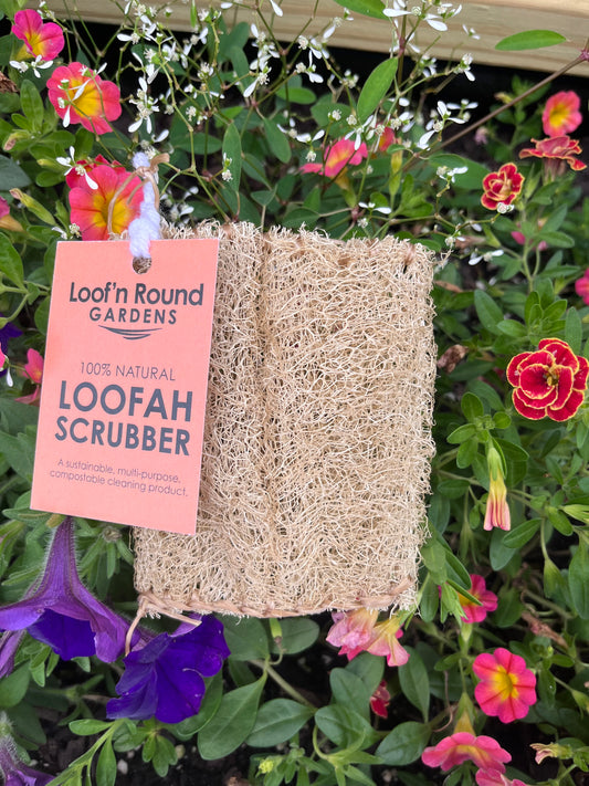 Loofah Scrub Pad - Frequency Fillery