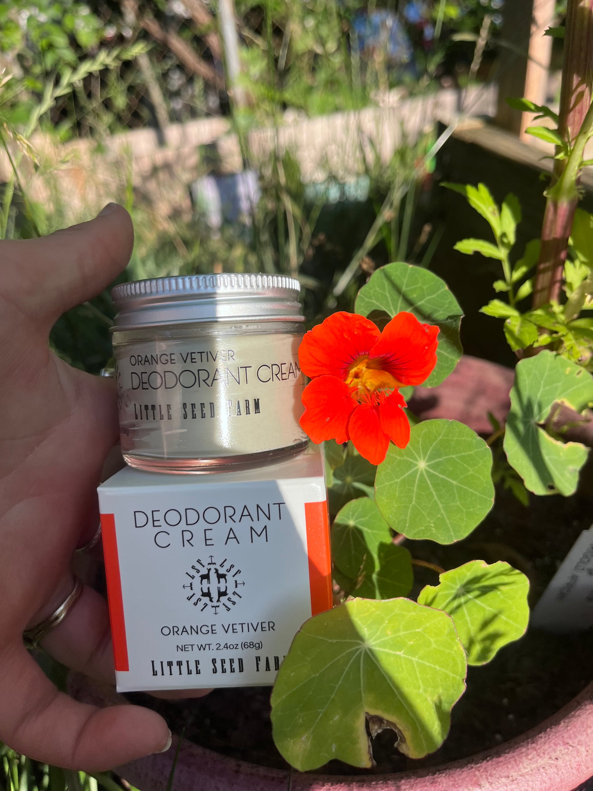 Deodorant Cream Prefilled Jar - Frequency Fillery