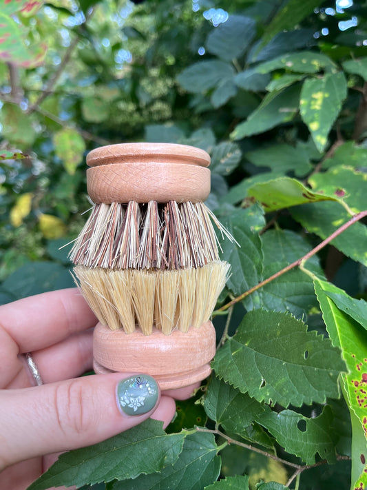 Bamboo Dish Replacement Head