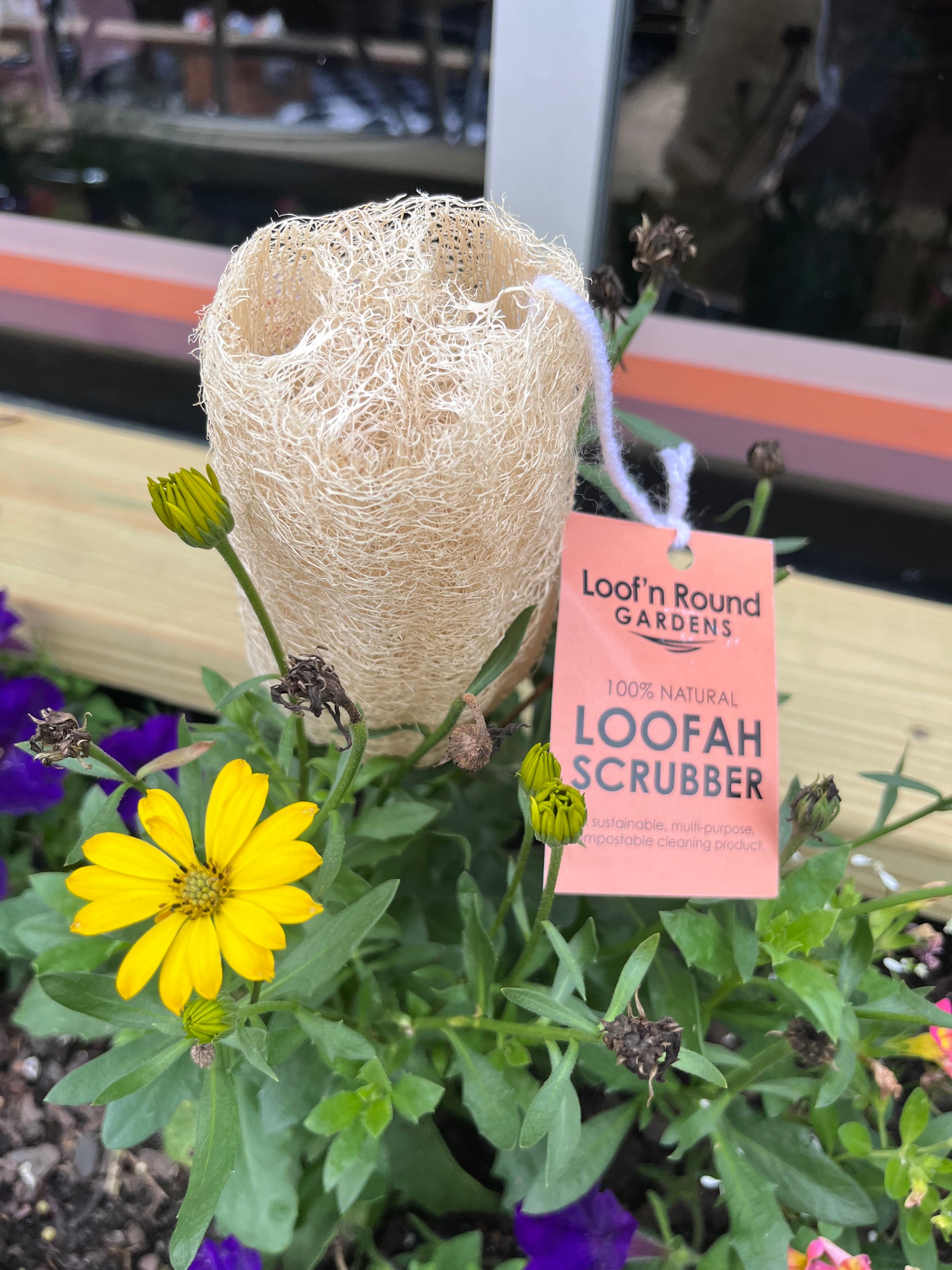 Loofah Cleaning Scrub - Frequency Fillery