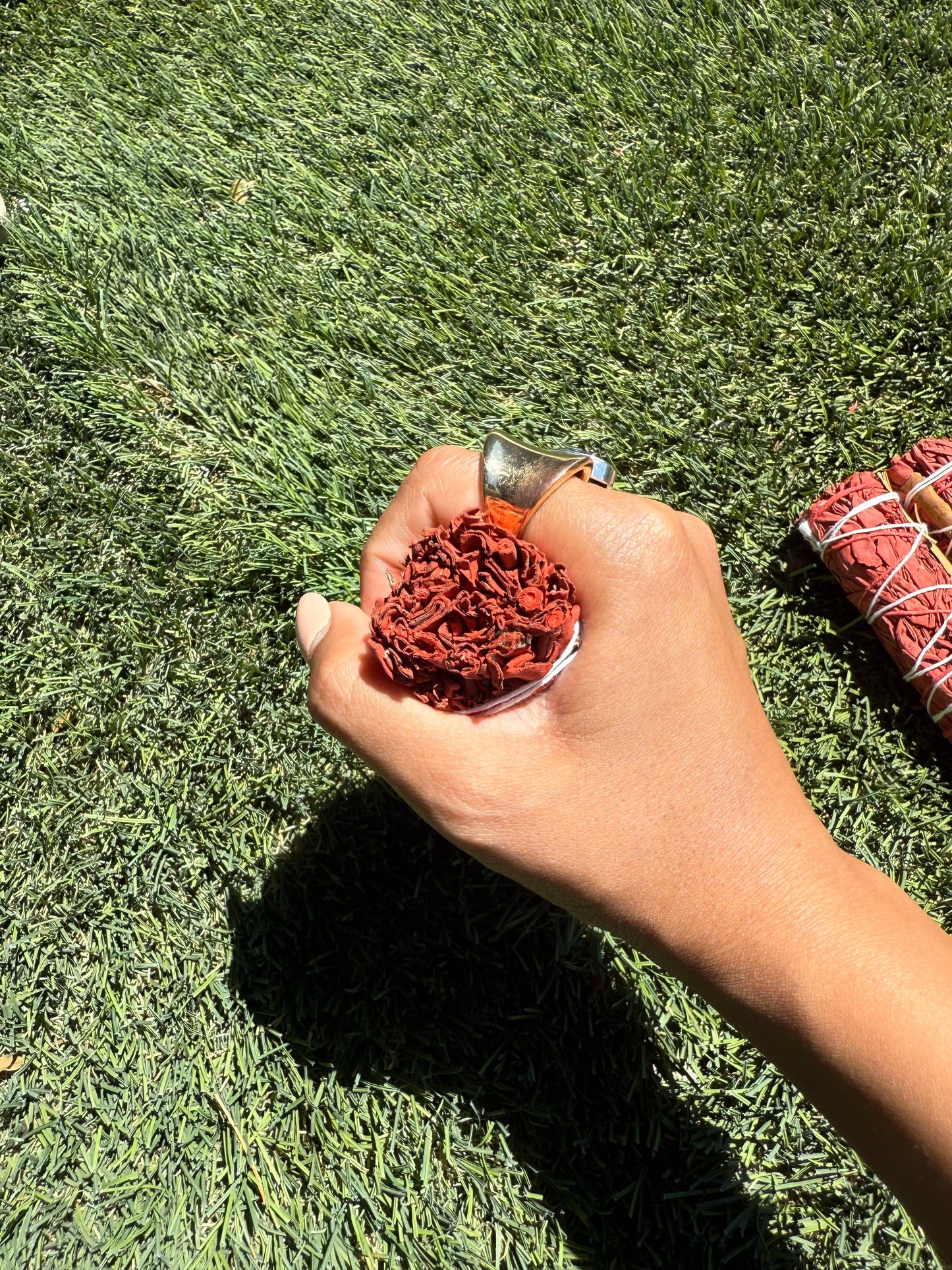 Dragons Blood with Cinnamon White Sage Bundles