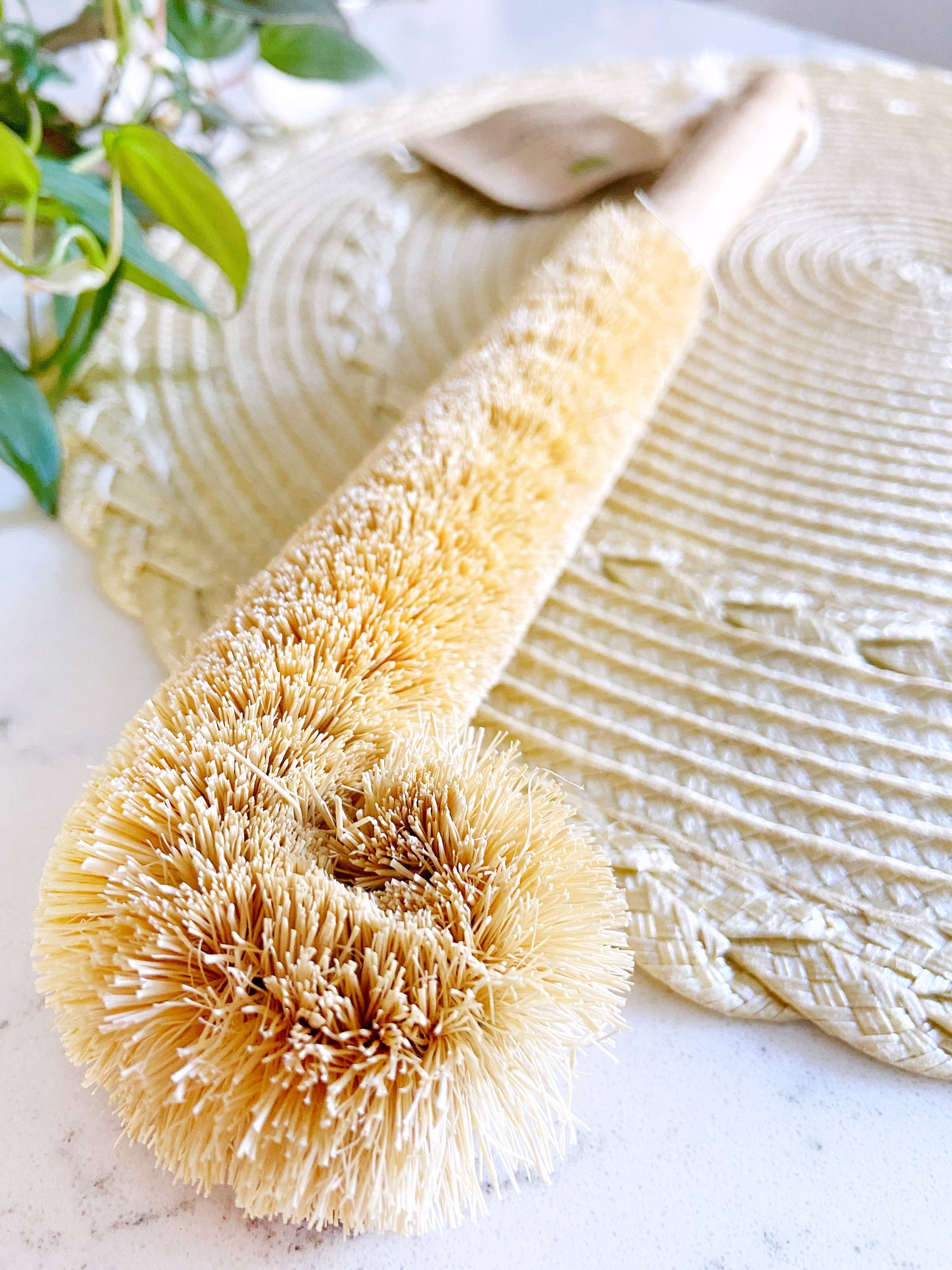 Coconut Bottle Cleaning Brush - Frequency Fillery