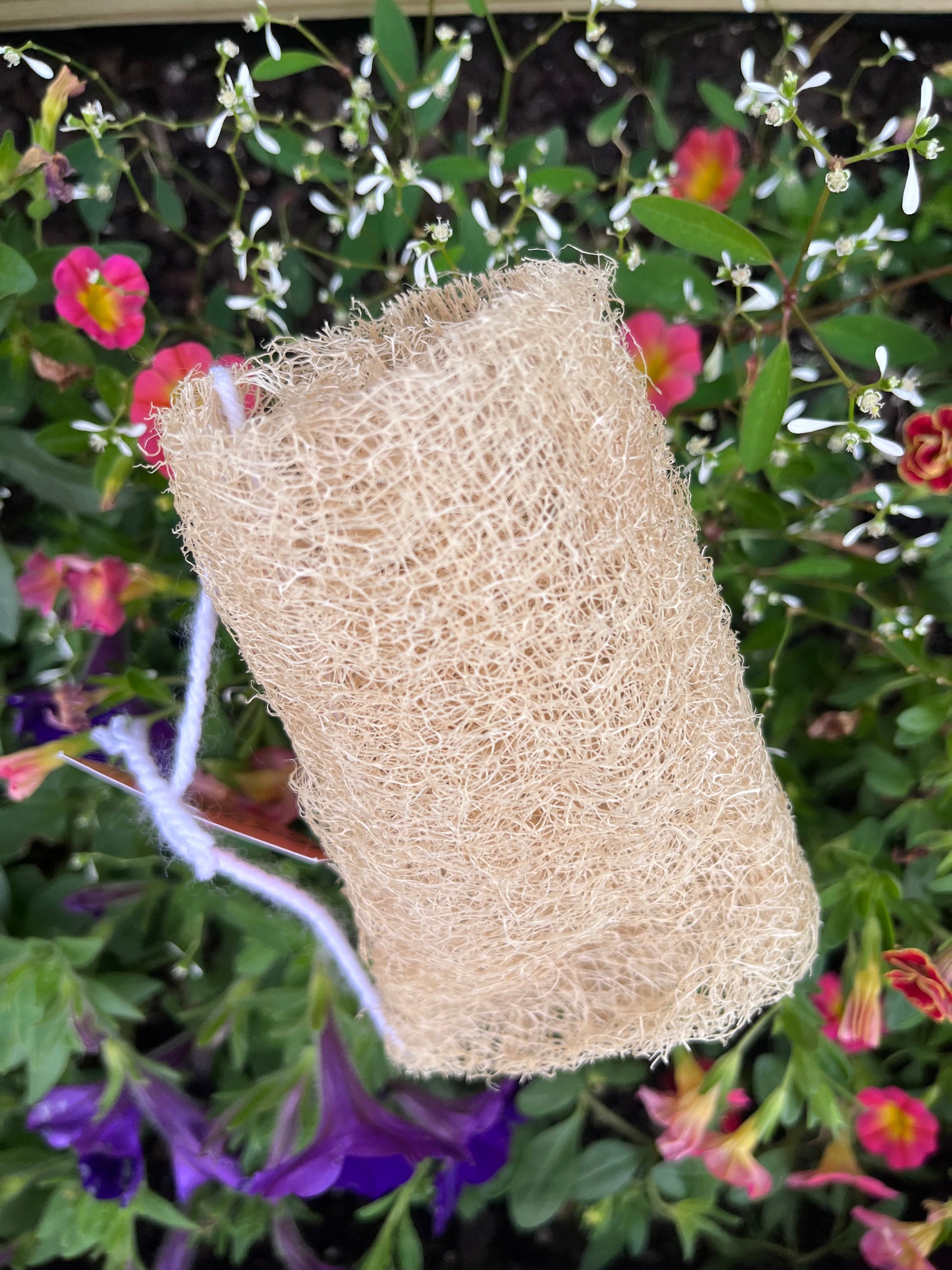 Loofah Cleaning Scrub - Frequency Fillery