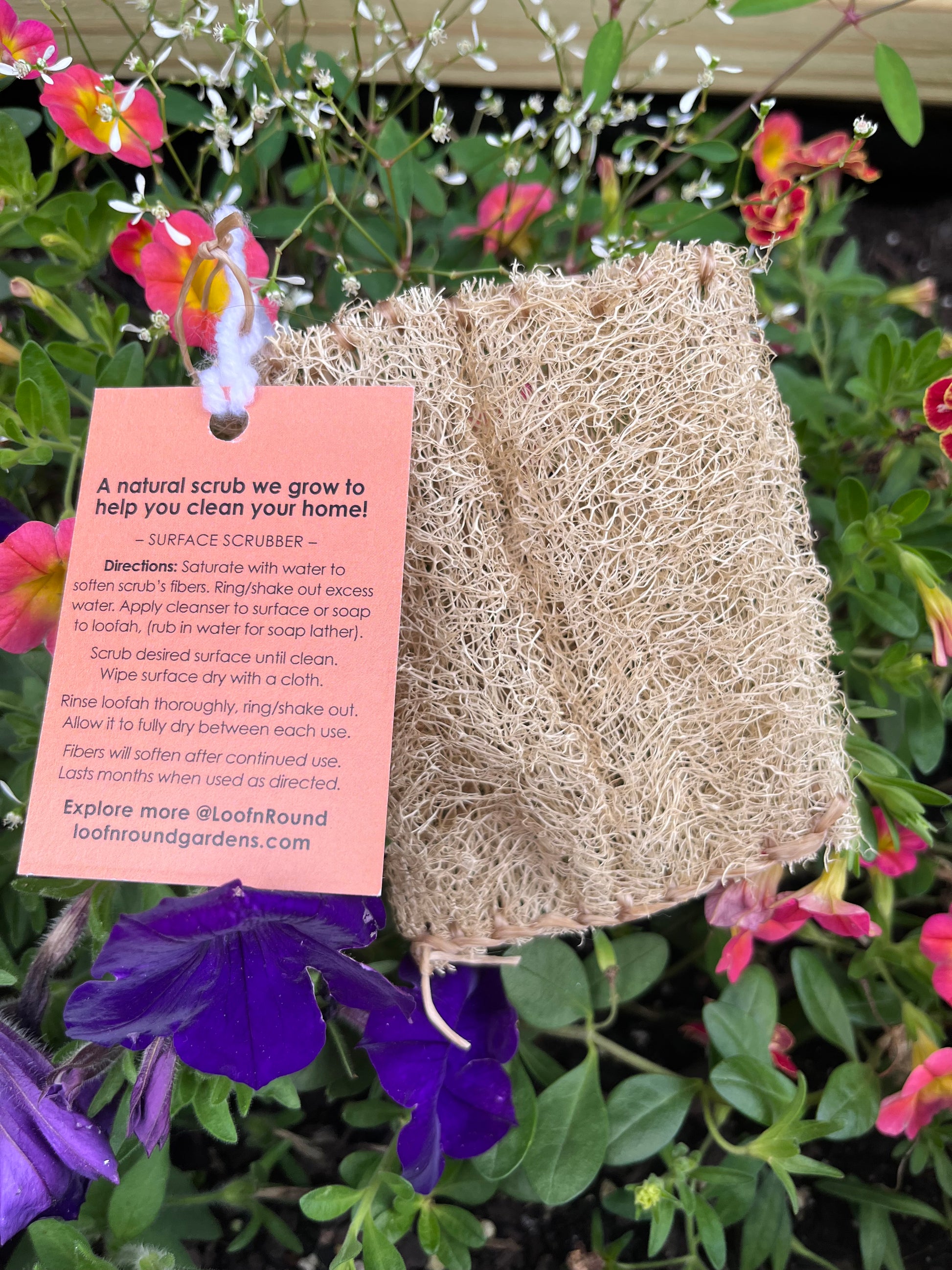 Loofah Scrub Pad - Frequency Fillery