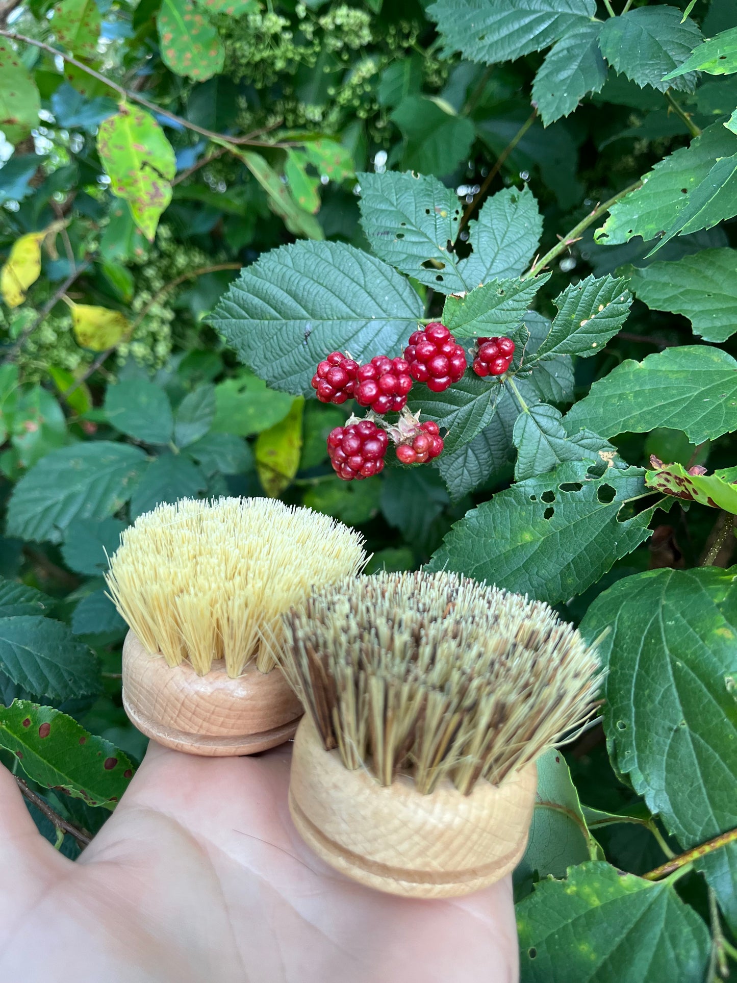 Bamboo Dish Replacement Head