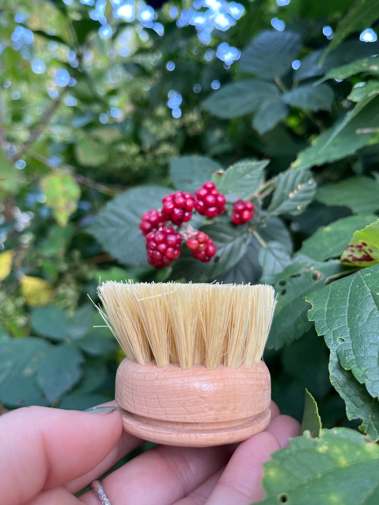 Bamboo Dish Replacement Head