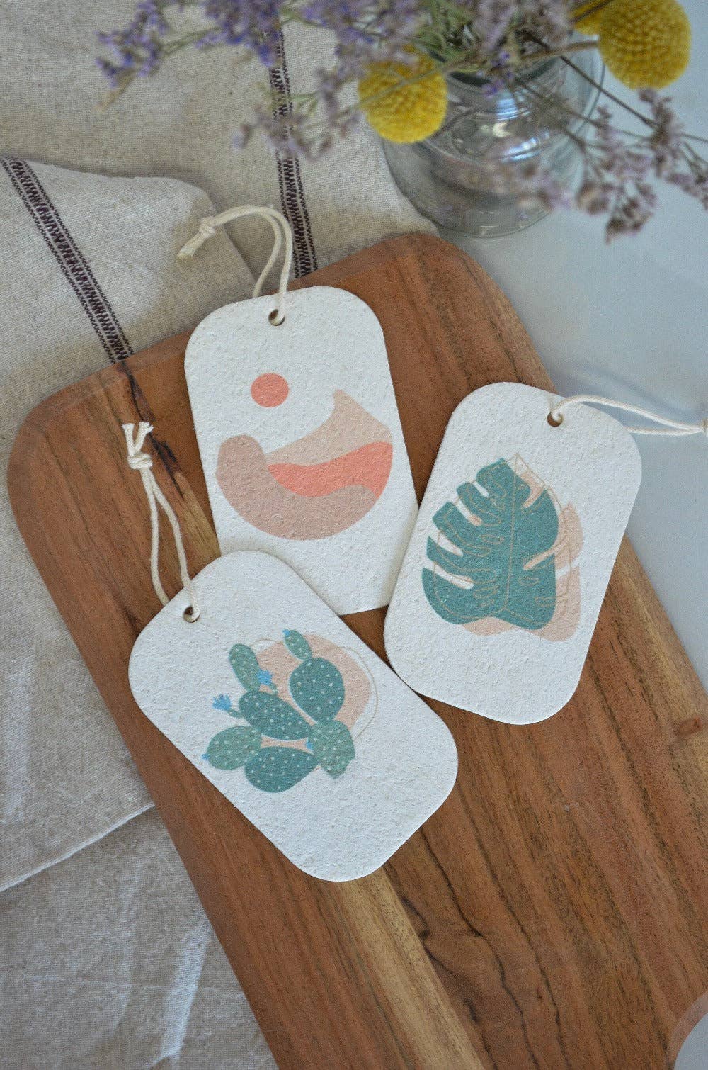 Pop Up Dish Sponges 3-Pack - Frequency Fillery