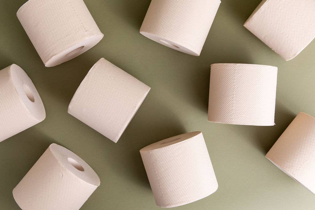 Bamboo Toilet Paper Roll